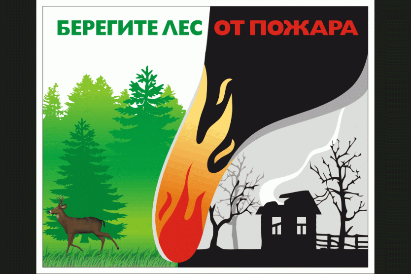 Листовка берегите лес рисунок